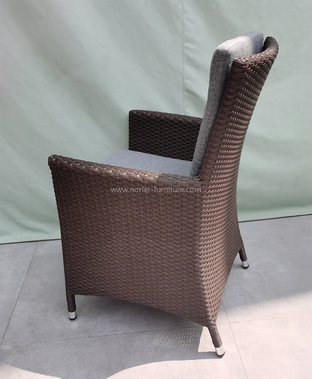 Outdoor Modern Aluminum Frame PE Rattan Dining Set